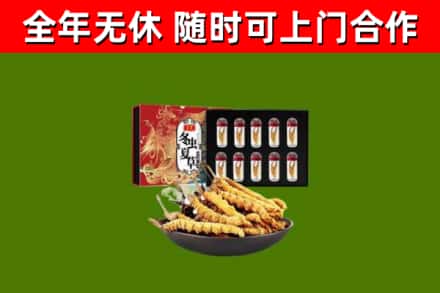 南安烟酒回收冬虫夏草礼盒.jpg